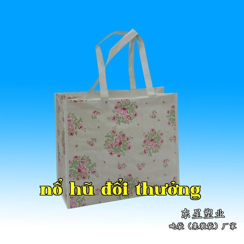Túi mua sắm hoa văn màu sắc