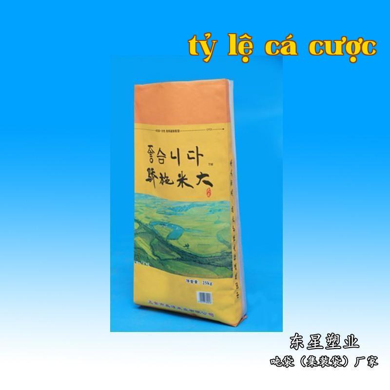 Túi vải in màu