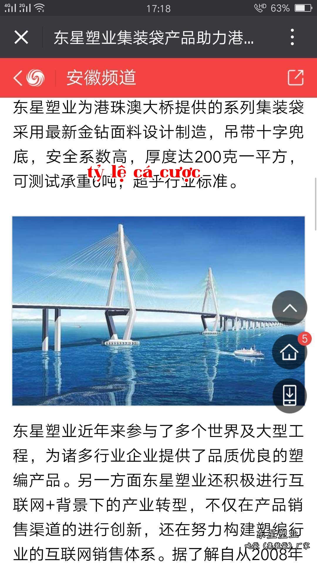 1621041499952763.jpg
